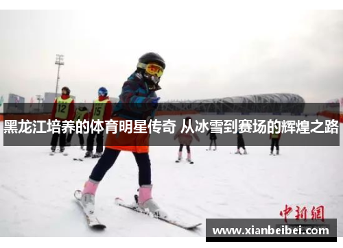 黑龙江培养的体育明星传奇 从冰雪到赛场的辉煌之路