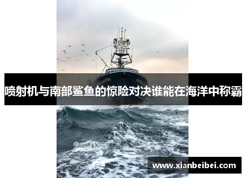 喷射机与南部鲨鱼的惊险对决谁能在海洋中称霸