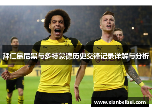 拜仁慕尼黑与多特蒙德历史交锋记录详解与分析
